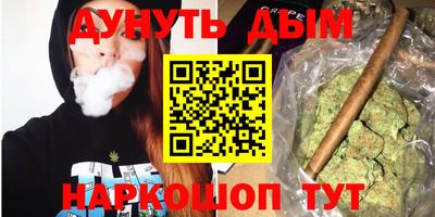 индика Обнинск