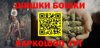 индика Обнинск