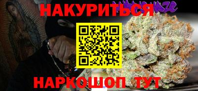 индика Обнинск