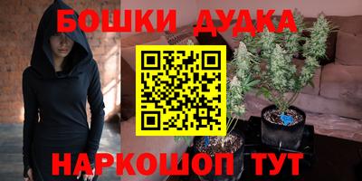 индика Обнинск